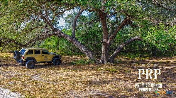 52 Acres of Land for Sale in Goliad, Texas
