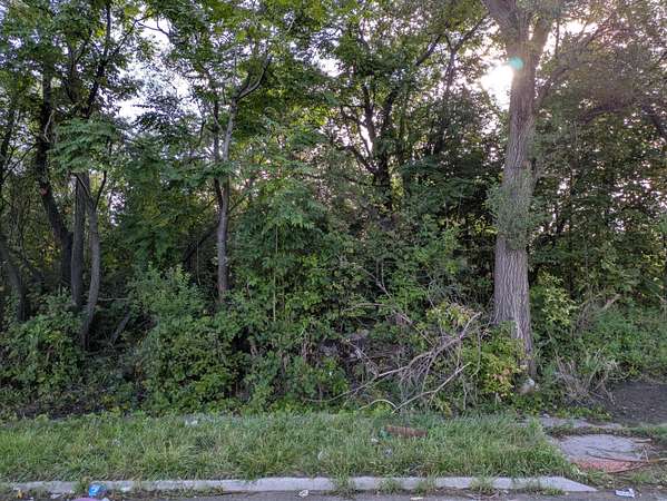 0.07 Acres of Residential Land for Sale in Detroit, Michigan