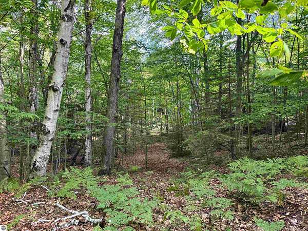 6 Acres of Residential Land for Sale in Kewadin, Michigan