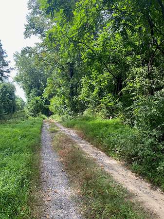 10 Acres of Land for Sale in Scrabble, Virginia