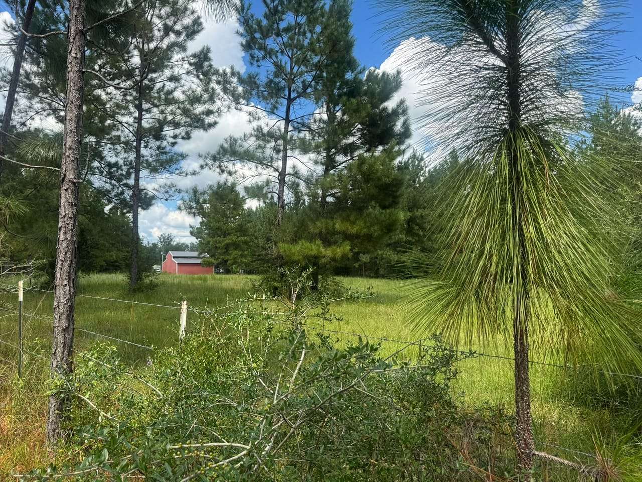 15.8 Acres of Recreational & Residential Land for Sale in Saucier, Mississippi