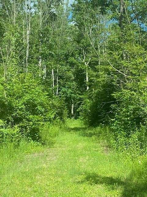 63.5 Acres of Recreational & Residential Land for Sale in Battle Creek, Michigan