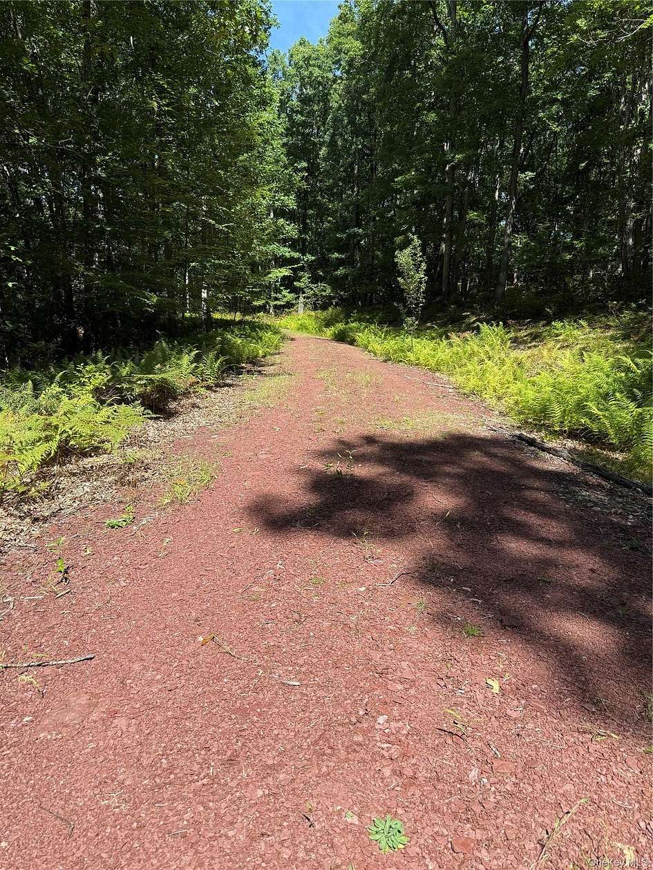 5 Acres of Residential Land for Sale in Narrowsburg, New York