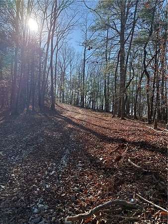 19.9 Acres of Land for Sale in Dawsonville, Georgia