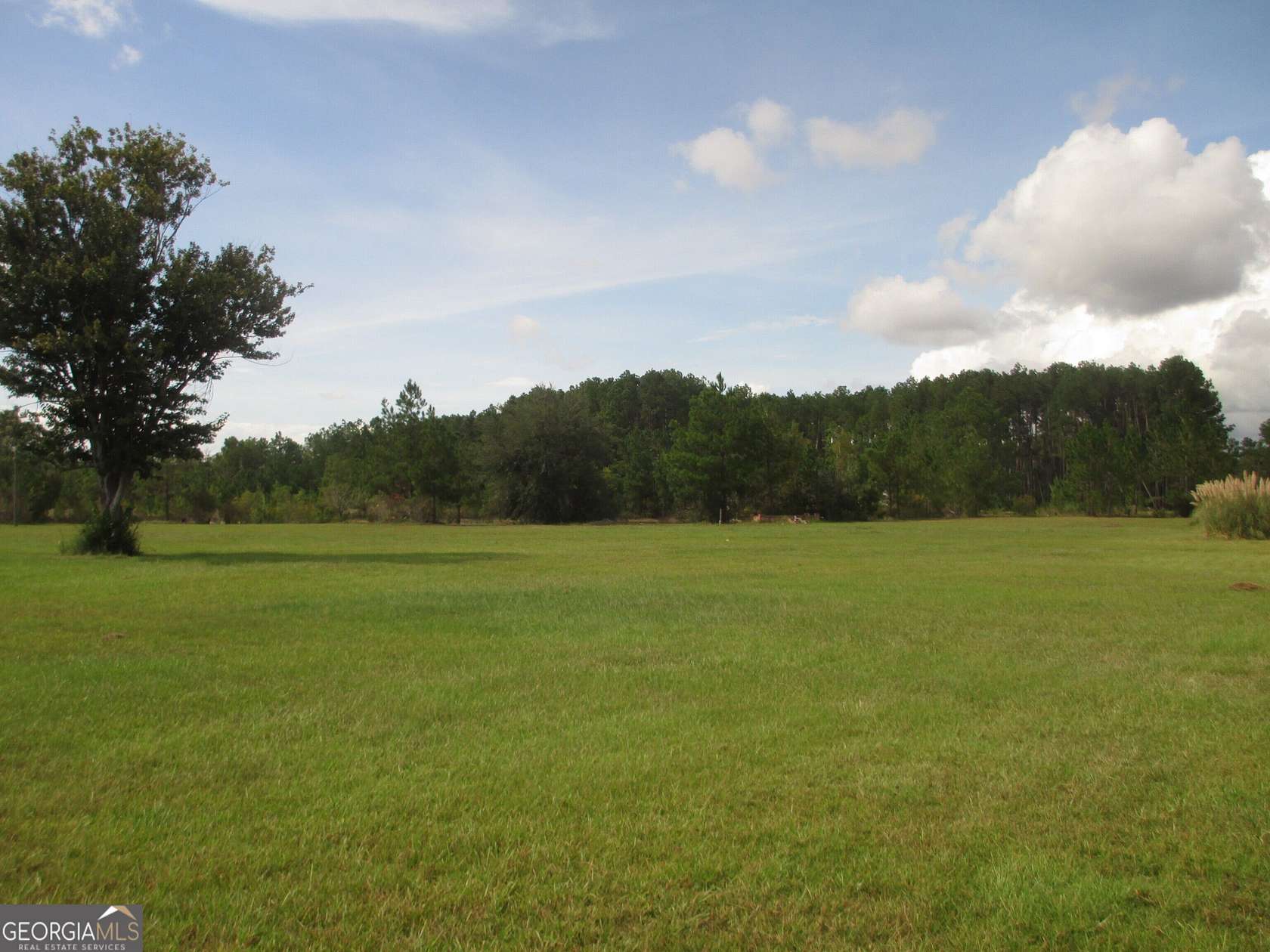 15.5 Acres of Land with Home for Sale in Baxley, Georgia