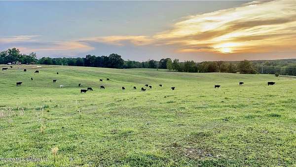 139 Acres of Land for Sale in Oakland, Mississippi