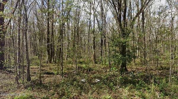 1.14 Acres of Land for Sale in Hastings, Florida