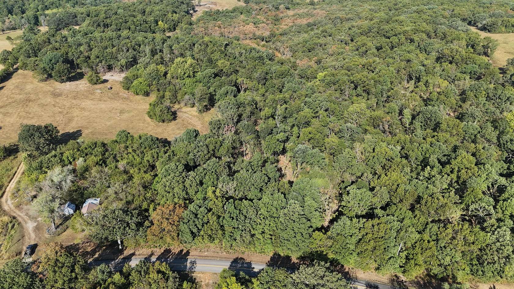 40 Acres of Land for Sale in Hartville, Missouri