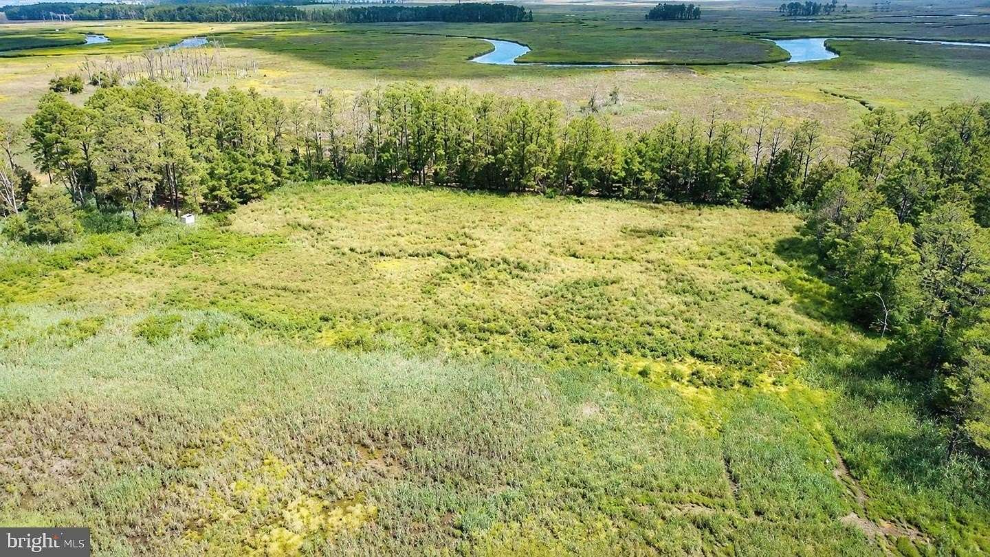 21.9 Acres of Recreational Land for Sale in Toddville, Maryland