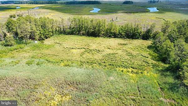 21.9 Acres of Recreational Land for Sale in Toddville, Maryland
