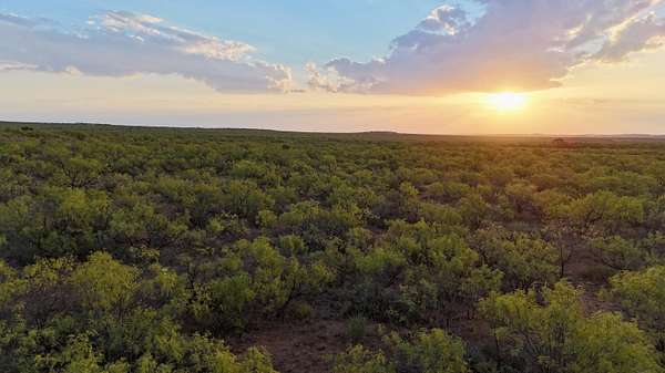 81.7 Acres of Recreational Land for Sale in Dickens, Texas