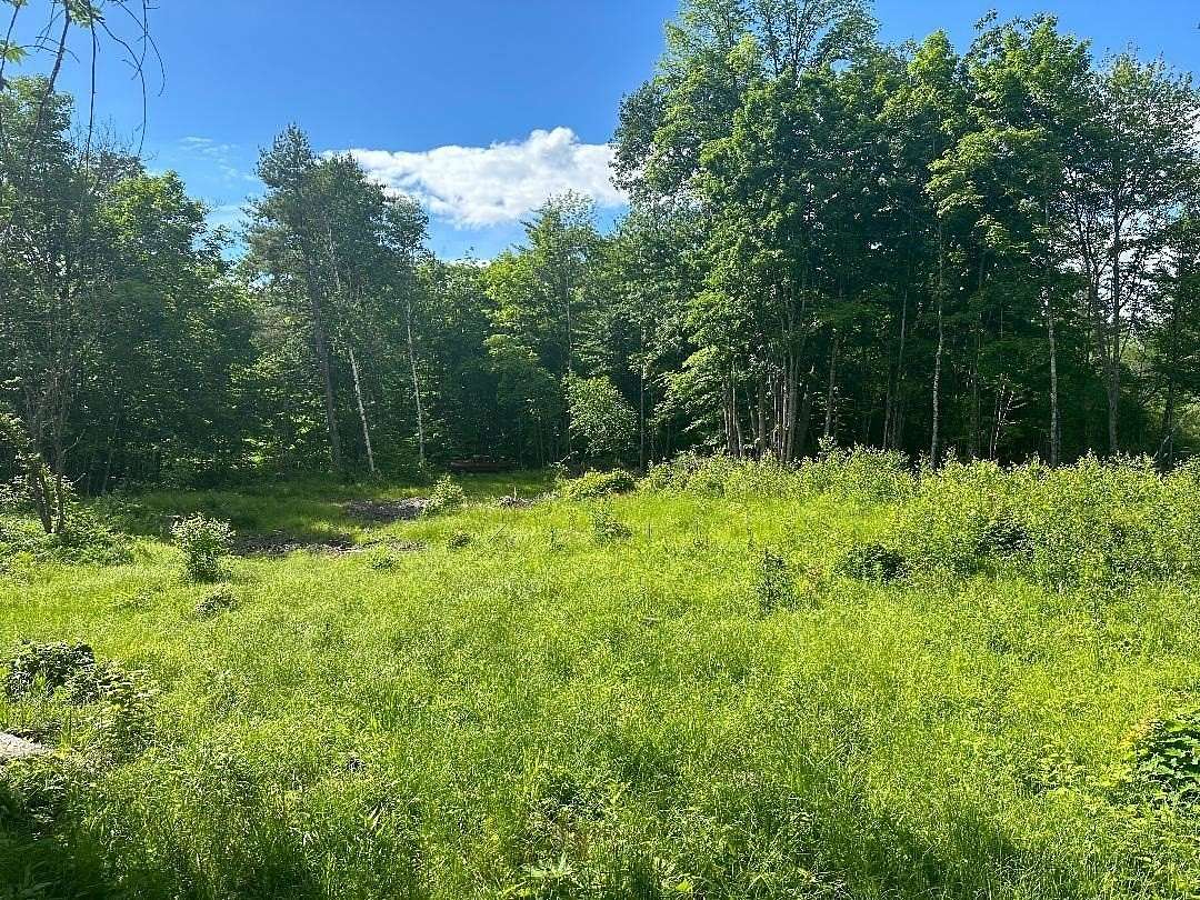 5.4 Acres of Agricultural Land for Sale in Wentworth, New Hampshire