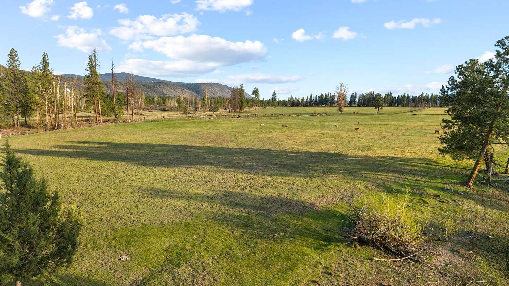113 Acres of Land for Sale in Chiloquin, Oregon