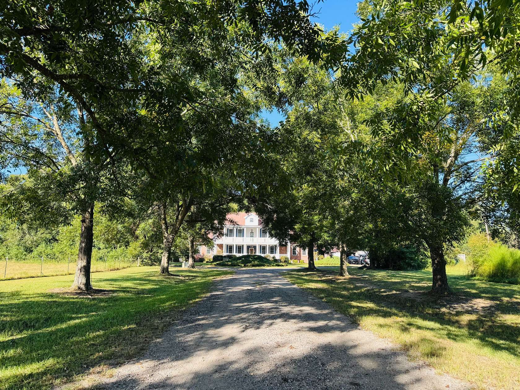 175 Acres of Recreational Land for Sale in Pinewood, South Carolina