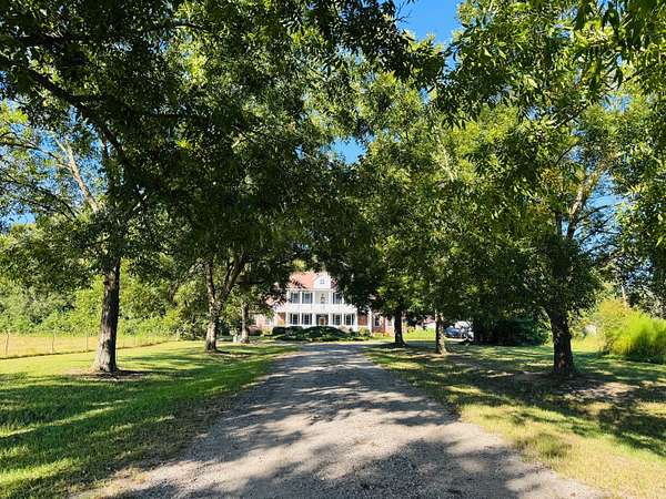 175 Acres of Recreational Land for Sale in Pinewood, South Carolina