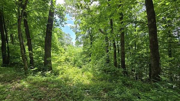 2.43 Acres of Land for Sale in Hayesville, North Carolina