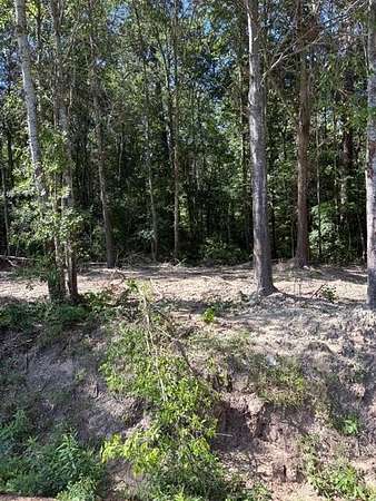 0.32 Acres of Residential Land for Sale in Lufkin, Texas