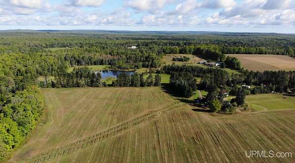 37 Acres of Recreational & Residential Land for Sale in Nisula, Michigan