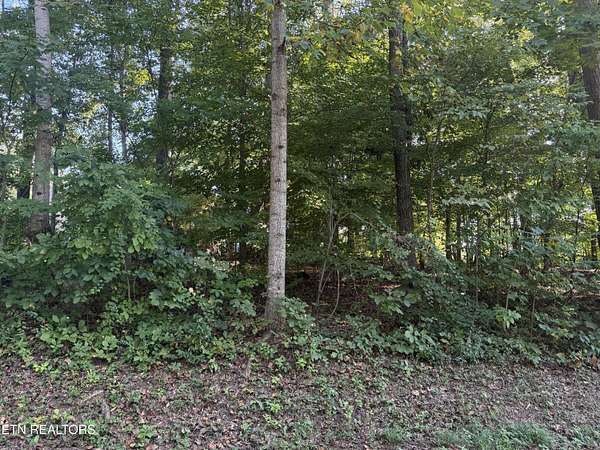 0.27 Acres of Residential Land for Sale in Loudon, Tennessee