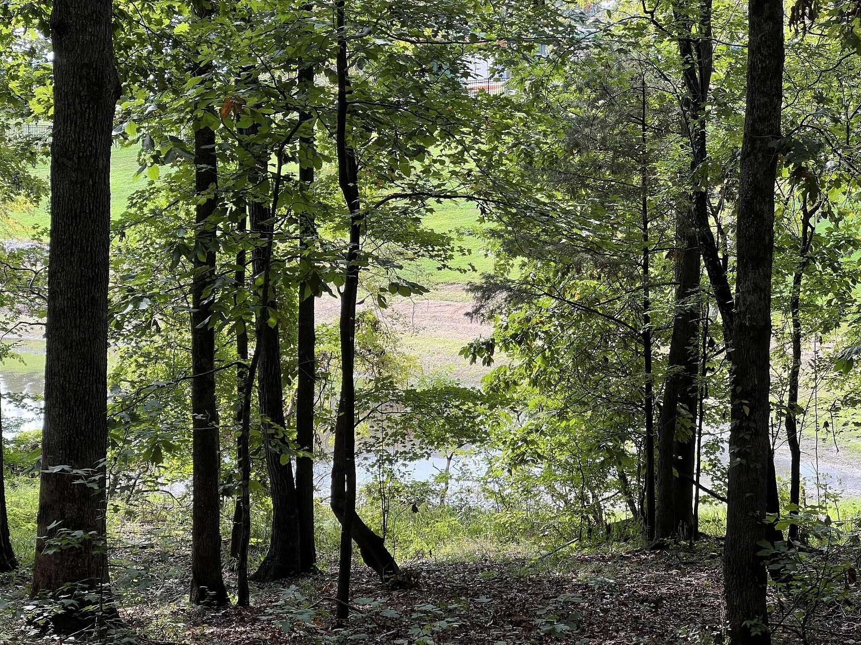 0.37 Acres of Residential Land for Sale in New Concord, Kentucky