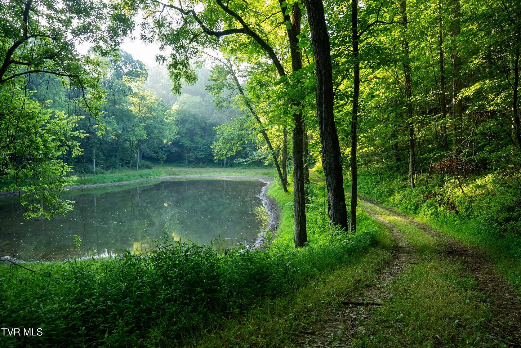 502 Acres of Recreational & Residential Land for Sale in Sneedville, Tennessee