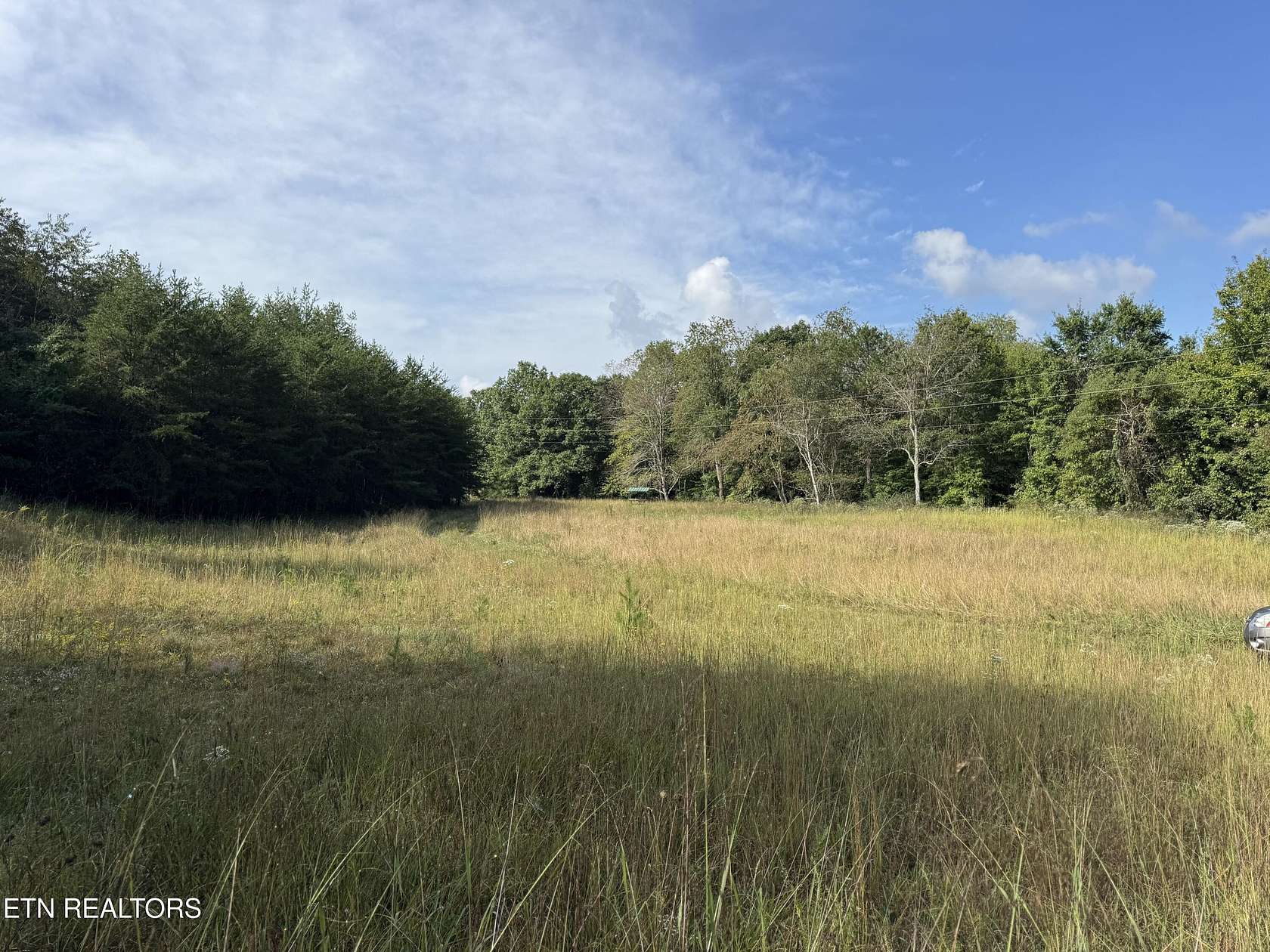 60.8 Acres of Recreational & Residential Land for Sale in Deer Lodge, Tennessee