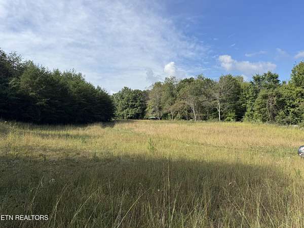 60.8 Acres of Recreational & Residential Land for Sale in Deer Lodge, Tennessee