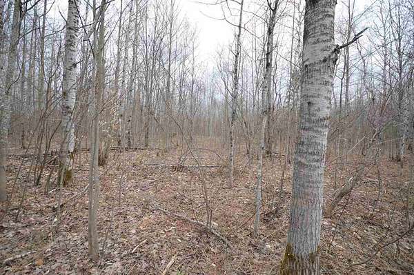 0.47 Acres of Residential Land for Sale in Mancelona, Michigan