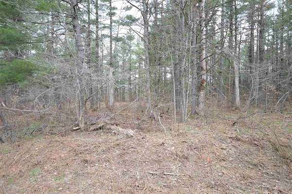 0.5 Acres of Residential Land for Sale in Elmira, Michigan