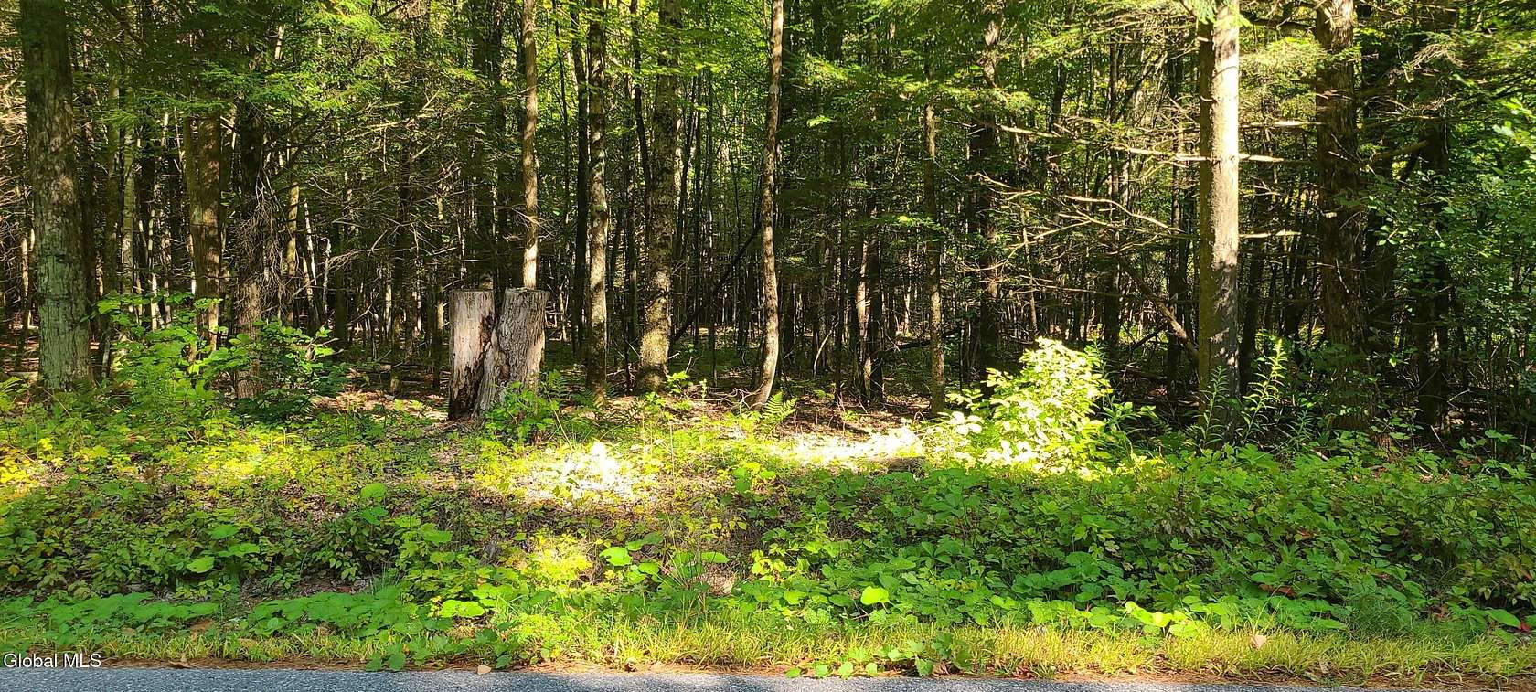 20 Acres of Recreational & Residential Land for Sale in Essex, New York