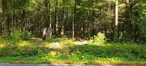 20 Acres of Recreational & Residential Land for Sale in Essex, New York