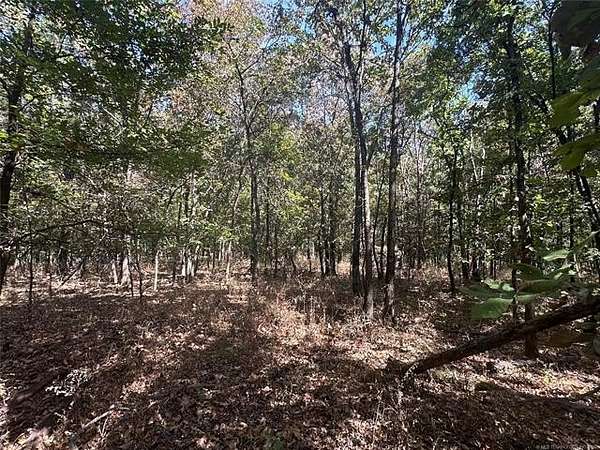 5 Acres of Land for Sale in Big Cabin, Oklahoma