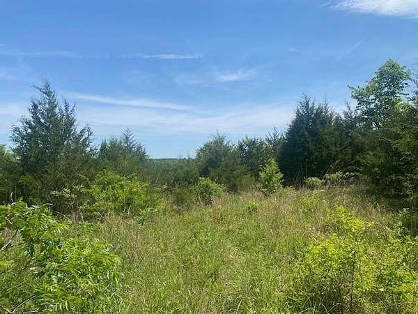 6 Acres of Land for Sale in Seymour, Missouri