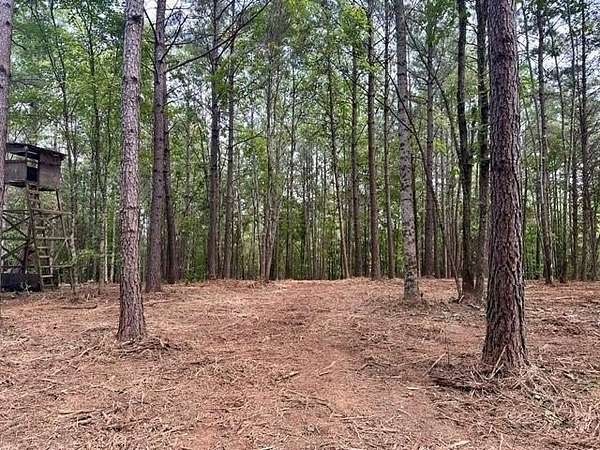 6.34 Acres of Residential Land for Sale in Dahlonega, Georgia