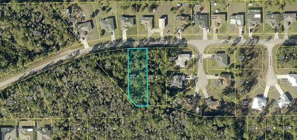 0.49 Acres of Residential Land for Sale in Lehigh Acres, Florida