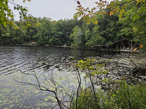 1.62 Acres of Land for Sale in Deerbrook, Wisconsin
