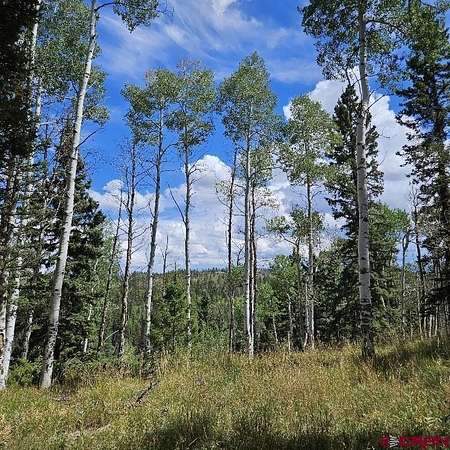 1 Acre of Residential Land for Sale in Cimarron, Colorado