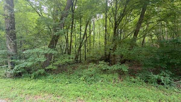 20 Acres of Land for Sale in Lawrenceburg, Tennessee