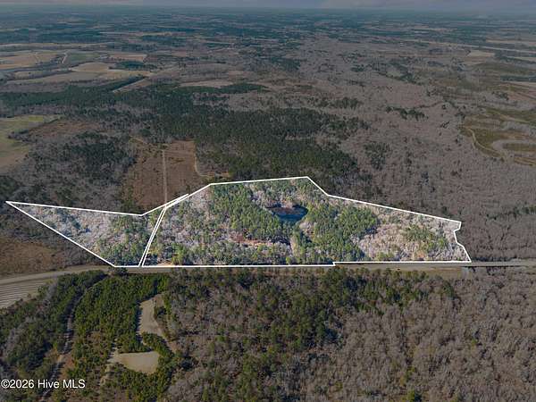44.7 Acres of Recreational & Residential Land for Sale in Cobbtown, Georgia