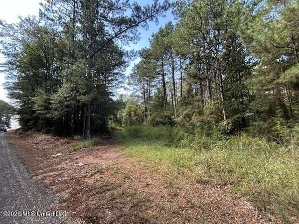 3.12 Acres of Residential Land for Sale in Summit, Mississippi