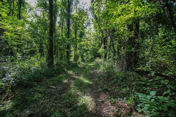 18 Acres of Recreational Land for Sale in Three Rivers, Michigan