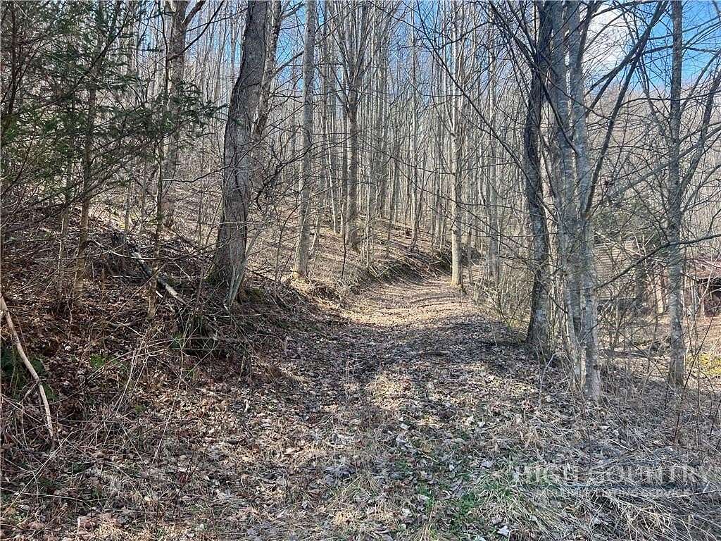 31.7 Acres of Recreational & Residential Land for Sale in Lansing, North Carolina