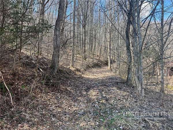 31.7 Acres of Recreational & Residential Land for Sale in Lansing, North Carolina