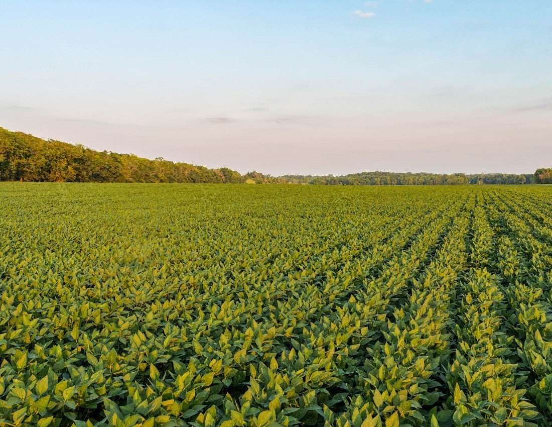 381 Acres of Agricultural Land for Auction in Jefferson, Iowa