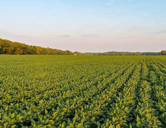 381 Acres of Agricultural Land for Auction in Jefferson, Iowa