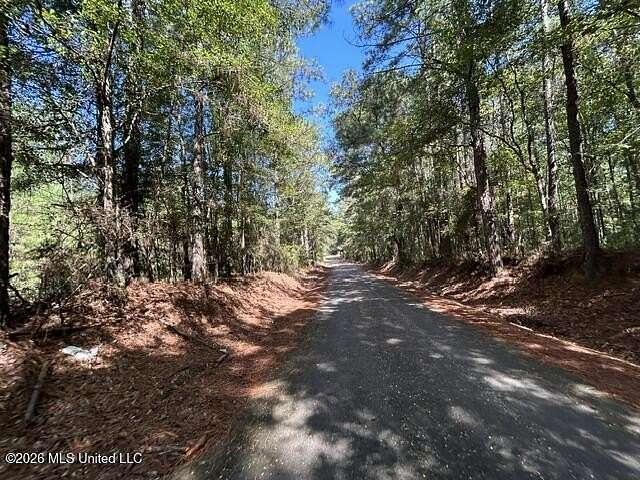 2.6 Acres of Residential Land for Sale in Summit, Mississippi