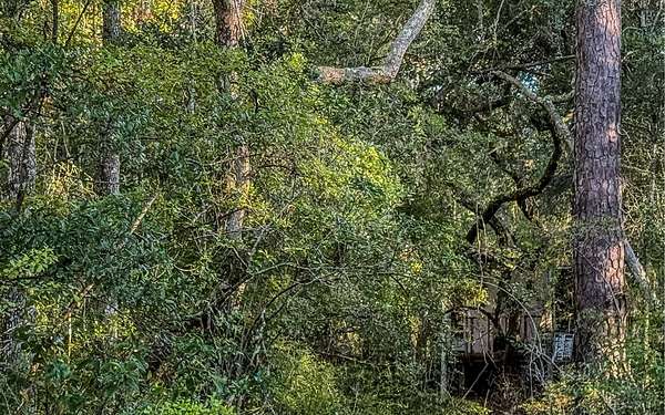 1 Acre of Land for Sale in Branford, Florida