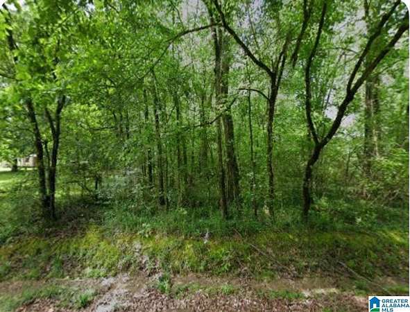 Residential Land for Sale in Bessemer, Alabama