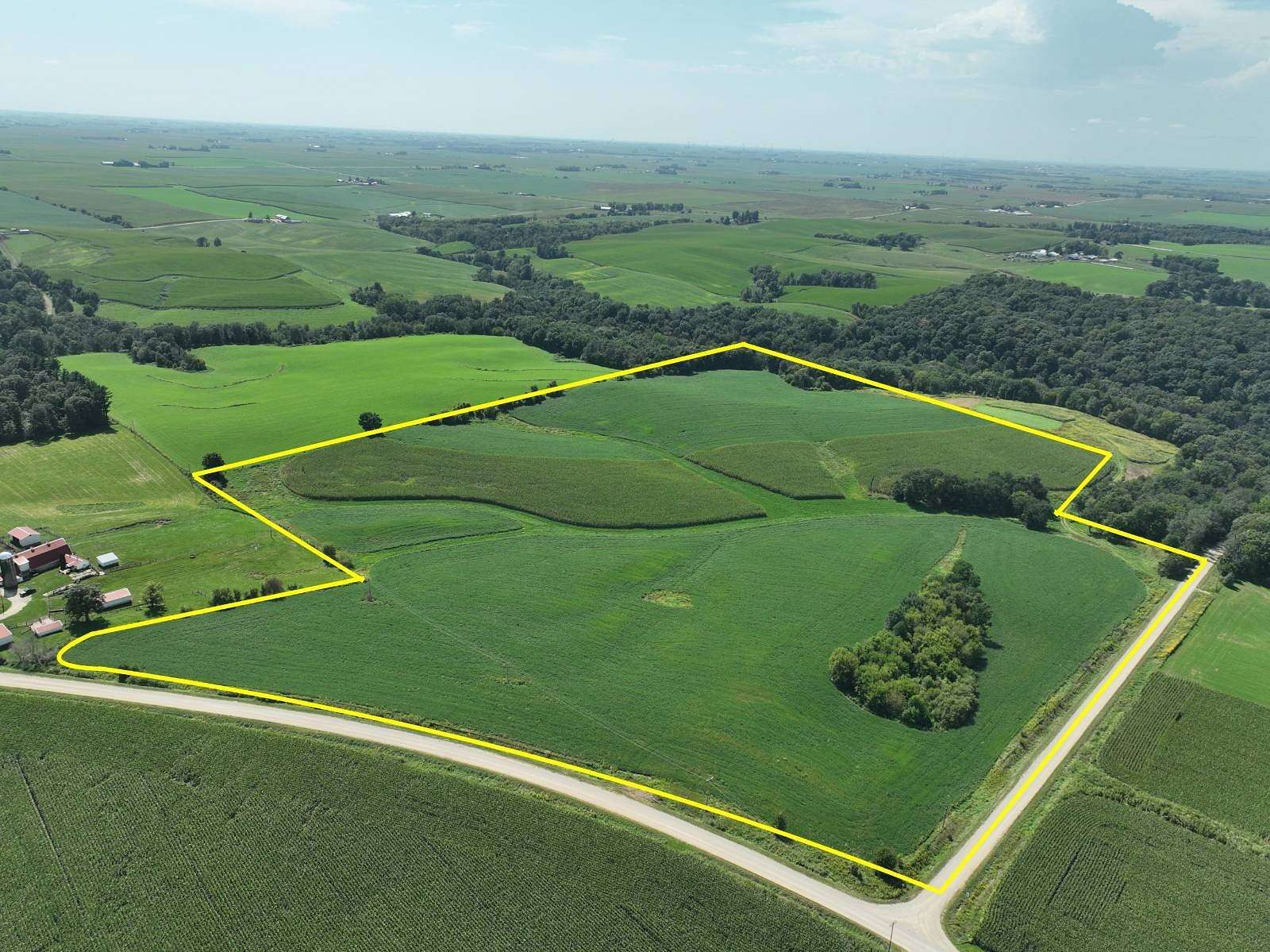 51.5 Acres of Agricultural Land for Auction in West Union, Iowa