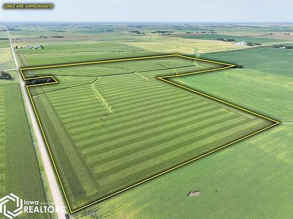 112 Acres of Agricultural Land for Auction in Beaman, Iowa